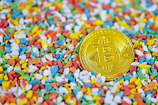 上海文藝出版社出版了哪些優秀的書籍？上海文藝出版社如何聯系？